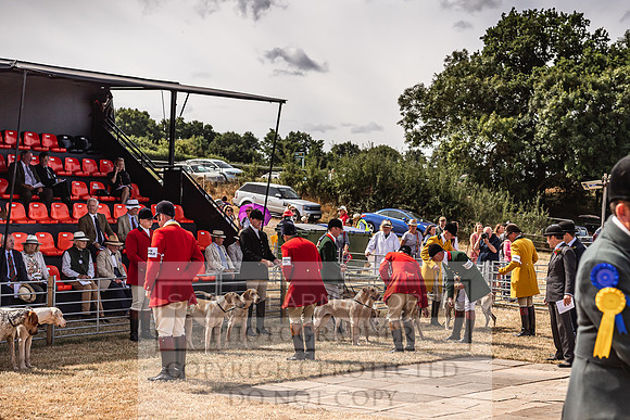 Honiton Hound Show 2022-94