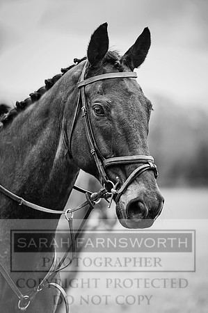 DOB 030316-97 bw