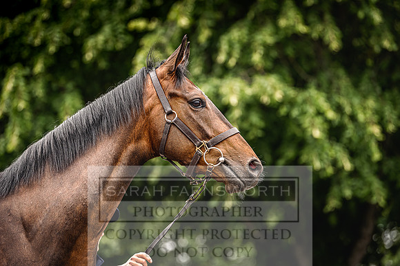 Goffs Land Rover Sale 2022-227