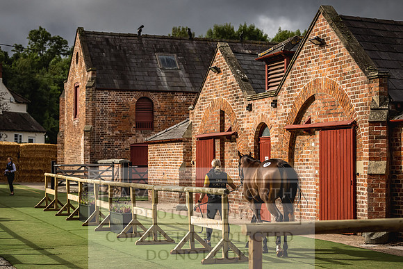 Goffs Yorton Sale 2022-27