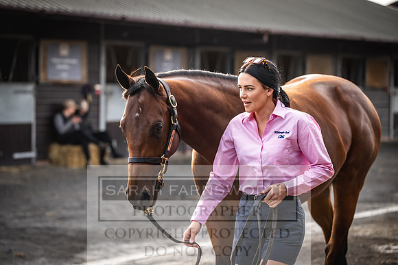 Goffs UK PY24-273