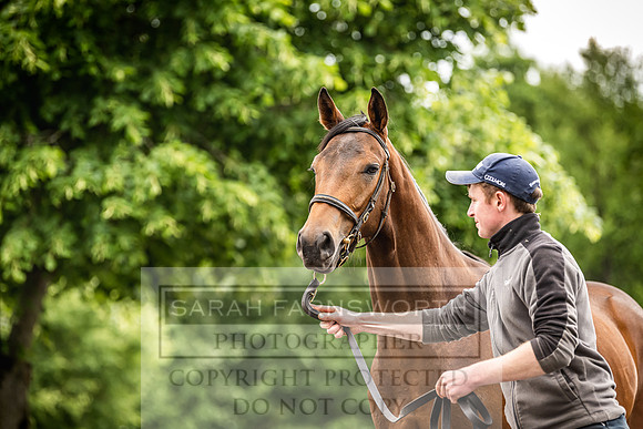 Goffs Land Rover Sale 2022-397