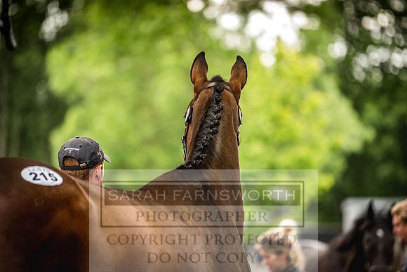 Goffs Land Rover Sale 2022-411