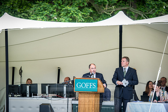 Goffs London Sale 2016-405