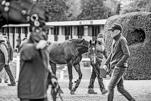 Goffs Orby 2018 Day 1-364