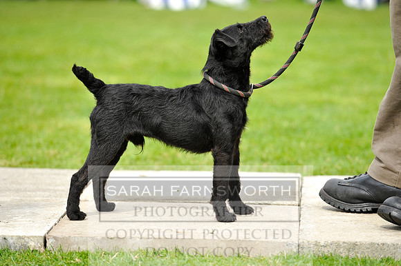 Rydal 2014 CF2 747