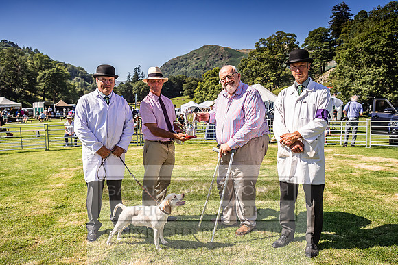 Rydal Hound Show 2022-163