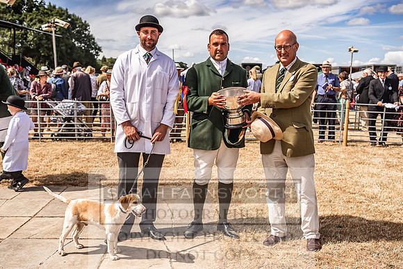 Honiton Hound Show 2022-96