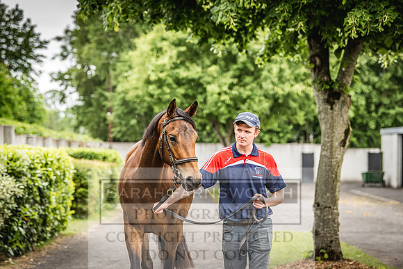 Goffs Land Rover Sale 2022-466