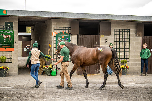 Goffs Orby 2018 Day 2-209