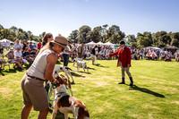 Rydal Hound Show 2022-13