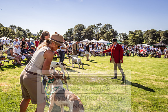 Rydal Hound Show 2022-13