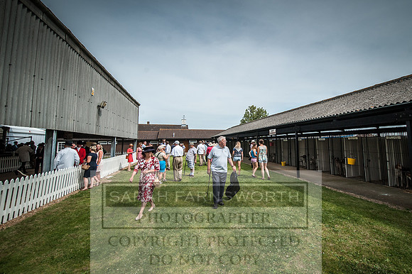 PFoH 2016-196