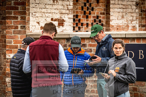 Goffs Yorton Sale 2022-85