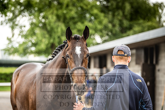 Goffs Land Rover Sale 2022-312