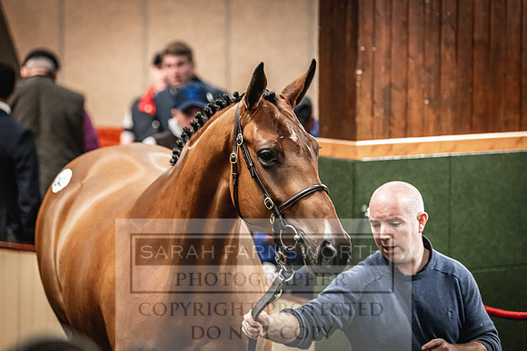 Goffs Land Rover Sale 2022-559
