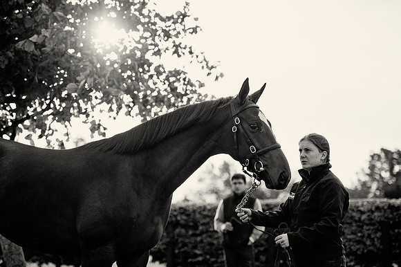 Goffs Orby14 CF1 318 bw