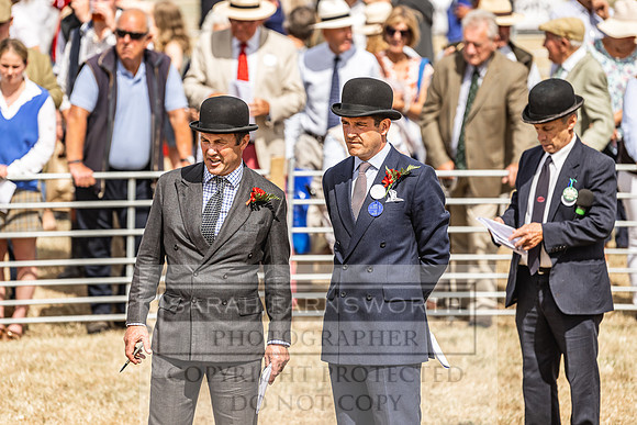 Honiton Hound Show 2022-128