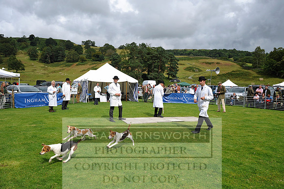 Rydal 2014 CF1 335