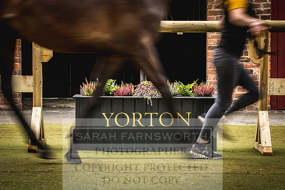 Goffs Yorton Sale 2022-142