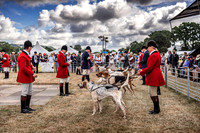 Honiton Hound Show 2022-15