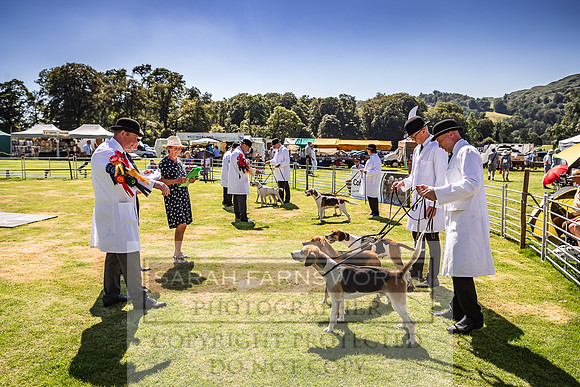 Rydal Hound Show 2022-118
