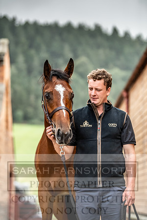 GUK Yorton Sale 2019-234