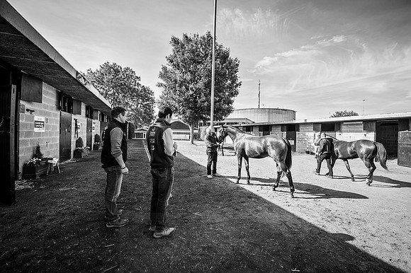 Goffs Orby 2015 -279 bw