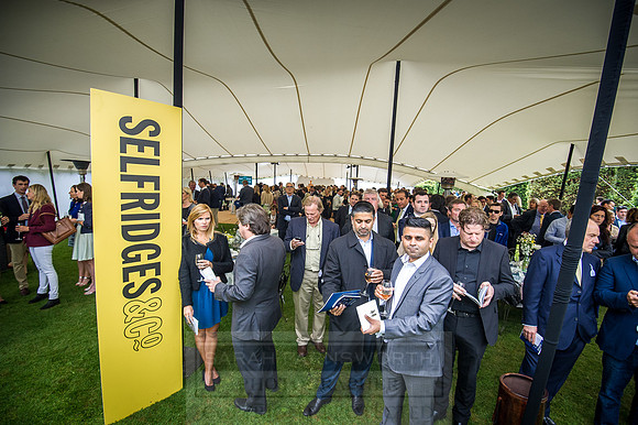 Goffs London Sale 2016-413