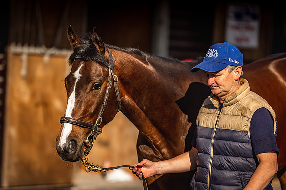 Goffs UK Breeze Up 2022-41