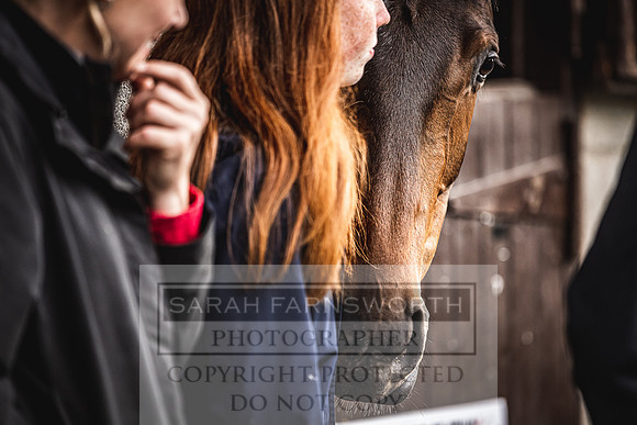 Goffs Land Rover Sale 2022-527