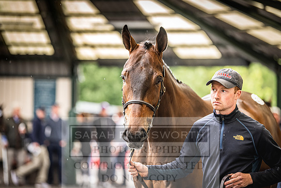 Goffs Land Rover Sale 2022-421