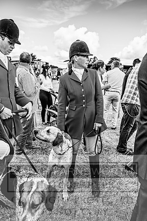 Honiton Hound Show 2022-5