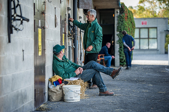 Goffs Orby 2015 -285