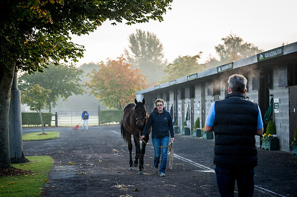 Goffs Orby 2015 -88