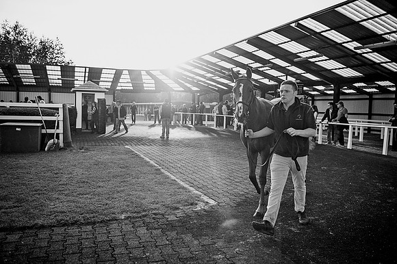 Goffs Orby 2015 -421 bw