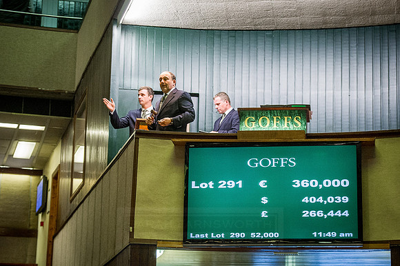 Goffs Orby 2015 -552