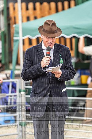 Honiton Hound Show 2022-30