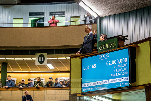 Goffs Orby 2018 Day 1-408