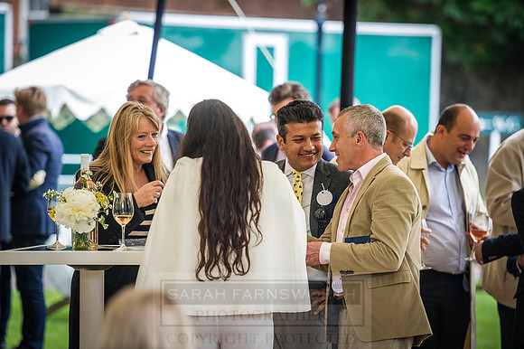 Goffs London Sale 2016-307
