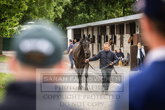 Goffs Land Rover Sale 2022-436
