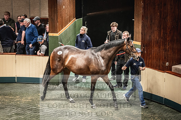 Goffs Land Rover Sale 2022-288