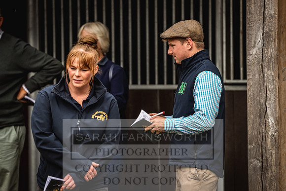 Goffs Yorton Sale 2022-119