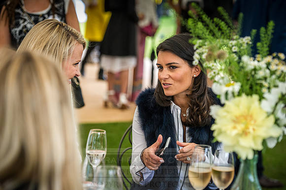 Goffs London Sale 2016-475