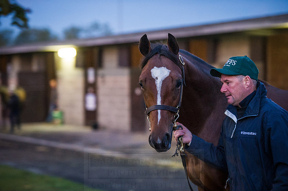 Goffs Orby 2015 -19
