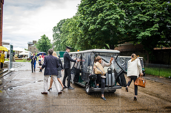 Goffs London Sale 2016-257
