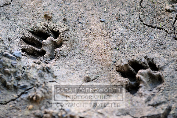 DOB 120912 100