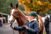 Goffs Orby 2018 Day 1-19