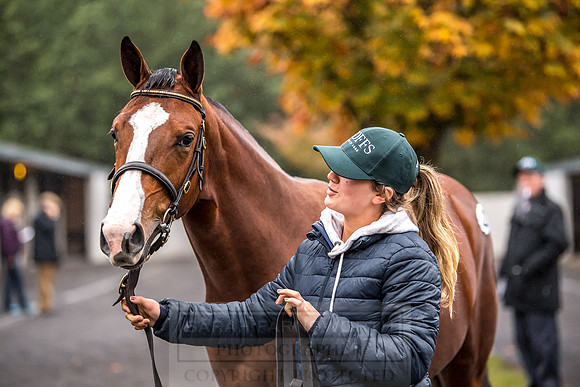 Goffs Orby 2018 Day 1-19