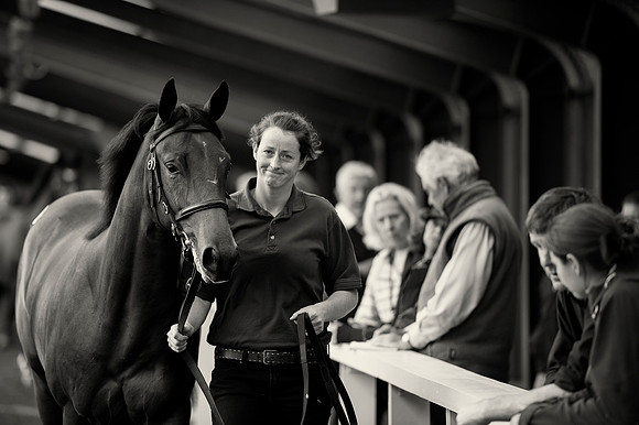 Goffs Orby14 CF5 395 BW